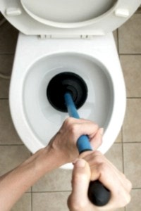 Plunger removing a toilet clog.