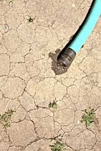 dried dirt hose