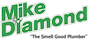 Mike Diamond Services