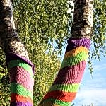 Tree trunks covered in bright knits