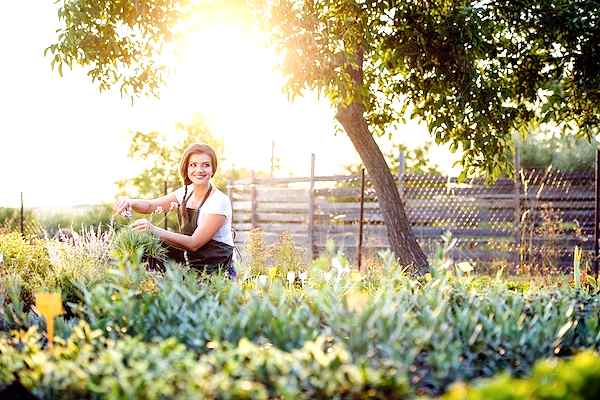 Woman gardening in the morning