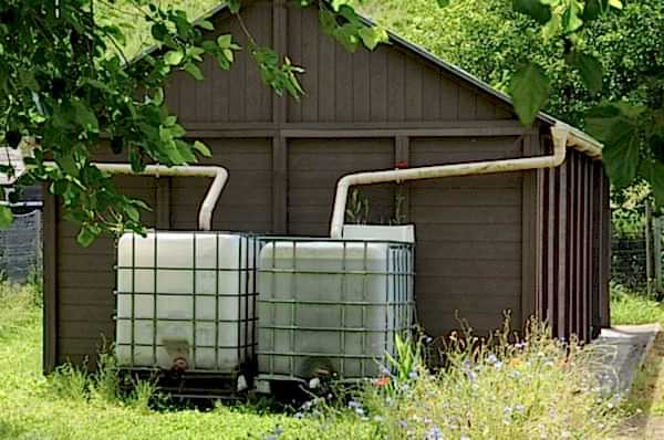 rain barrels