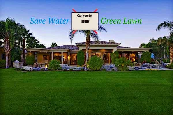 nice looking lawn 