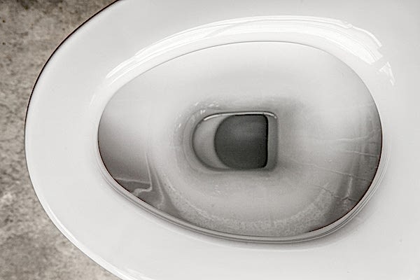 toilet bowl