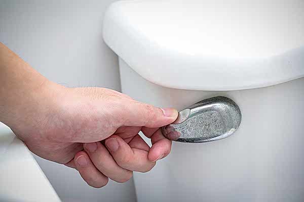 toilet-handle
