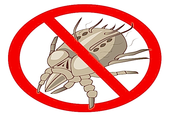 Cartoon of dust mite with red "NO" icon 