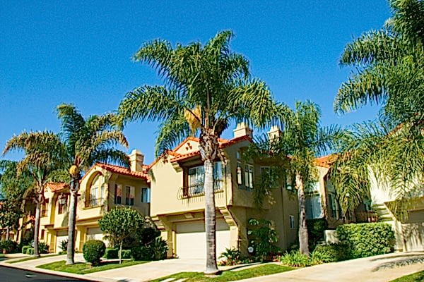 Californian home shaded by palm trees and the angle of the sun