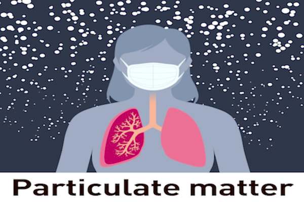 graphic depicting particulate matter in the air around an x-ray of a woman and her lungs