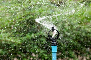 sprinkler repair is one of the most common plumbing repairs we make in hollywood