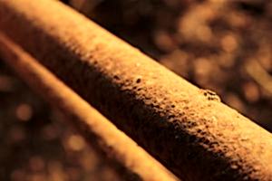 water tastes metallic when it contains particulates of iron, manganese, and zinc