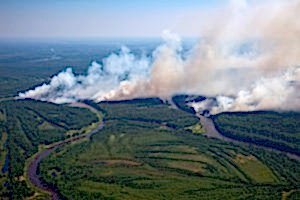 How wildfires affect air quality