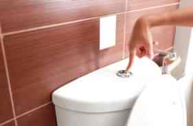 How to Fix a Toilet that Won’t Flush