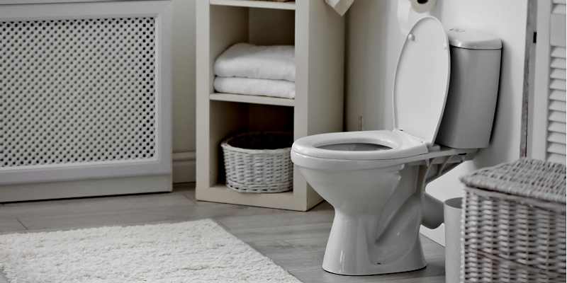 How to Unclog a Toilet Without a Plunger