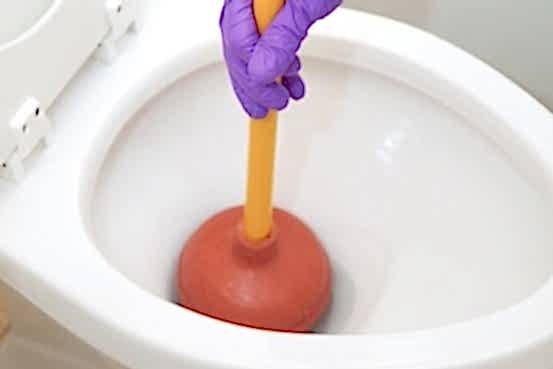 A plunger cup sits neatly over a toilet drain.