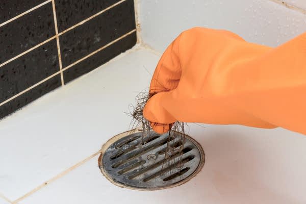 Gloved hand pulling hair out of a shower drain. Why does my shower drain smell?