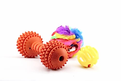 Color pet chew toys.