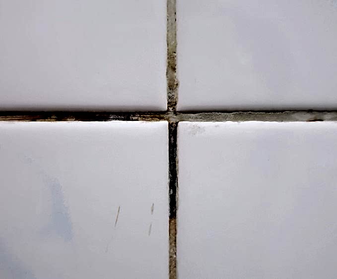 Bathroom tile with mold growing on the grout.